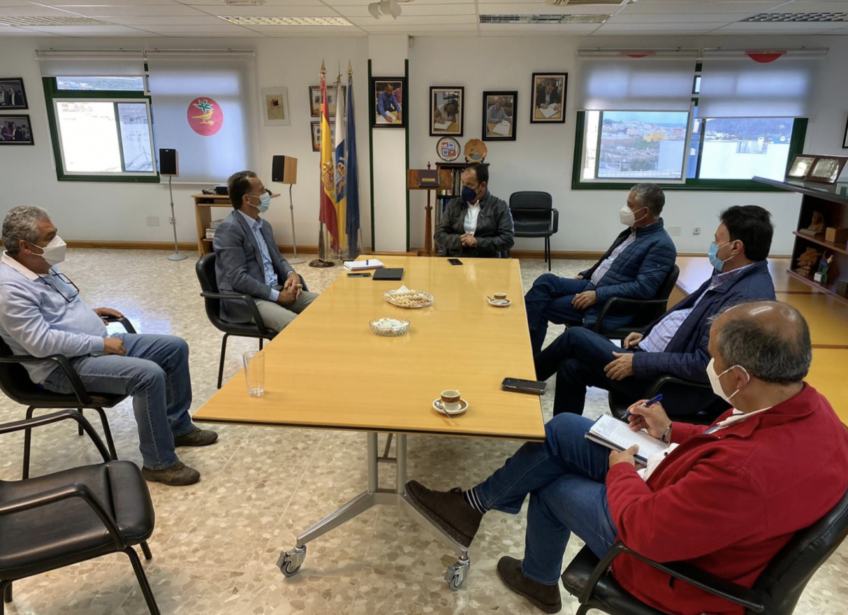 El viceconsejero de Sector Primario visita La Aldea para hacer una evaluación de daños en los cultivos afectados por el hongo mildiu