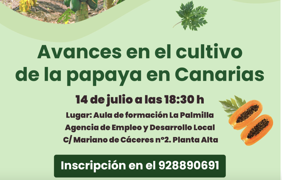 El Ayuntamiento organiza la charla: Avances en el cultivo de la papaya en Canarias, para el 14 de julio